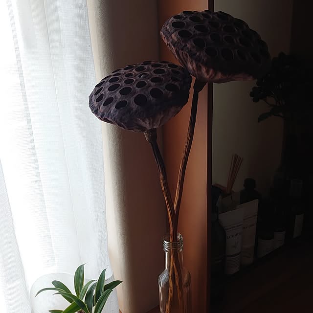 naturalさんの実例写真