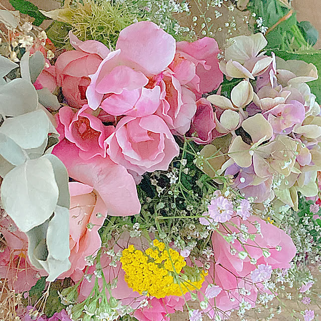 Hanakaさんの部屋