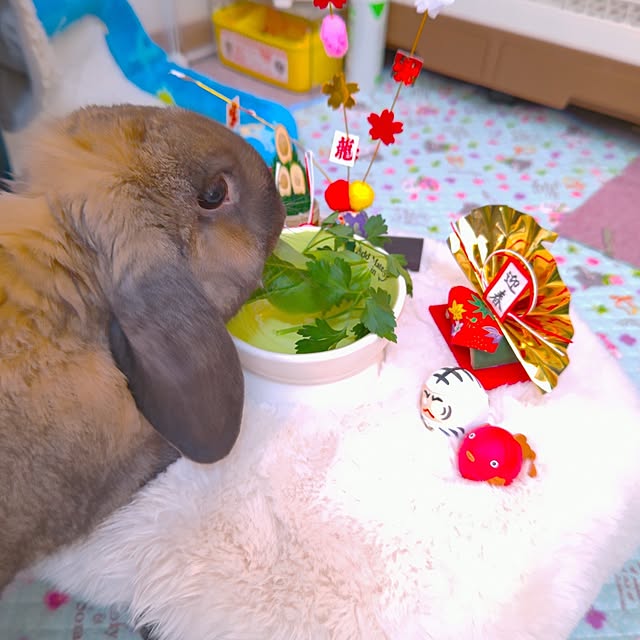 mariaさんの実例写真