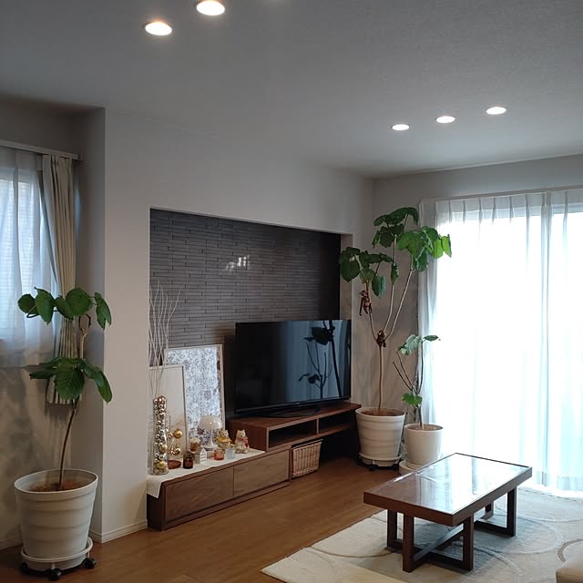 tan5さんの実例写真