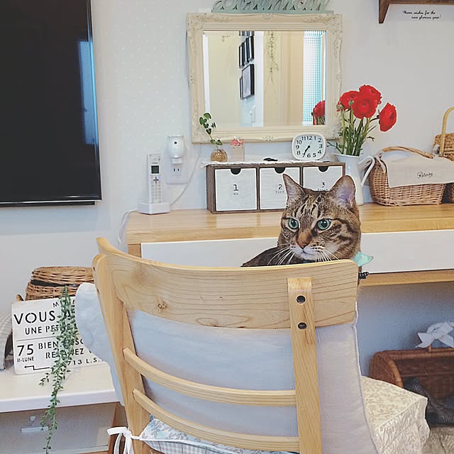 lovecatさんの実例写真