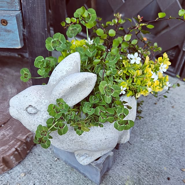 mocomocoさんの部屋