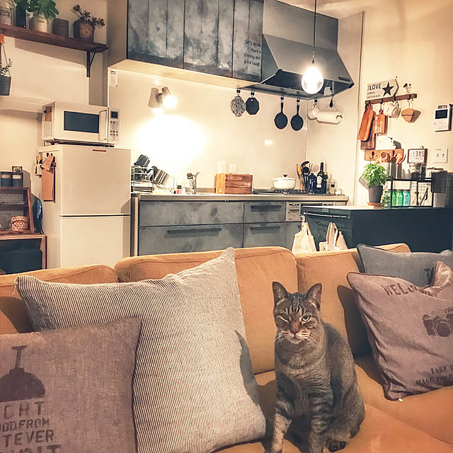 beansさんの実例写真