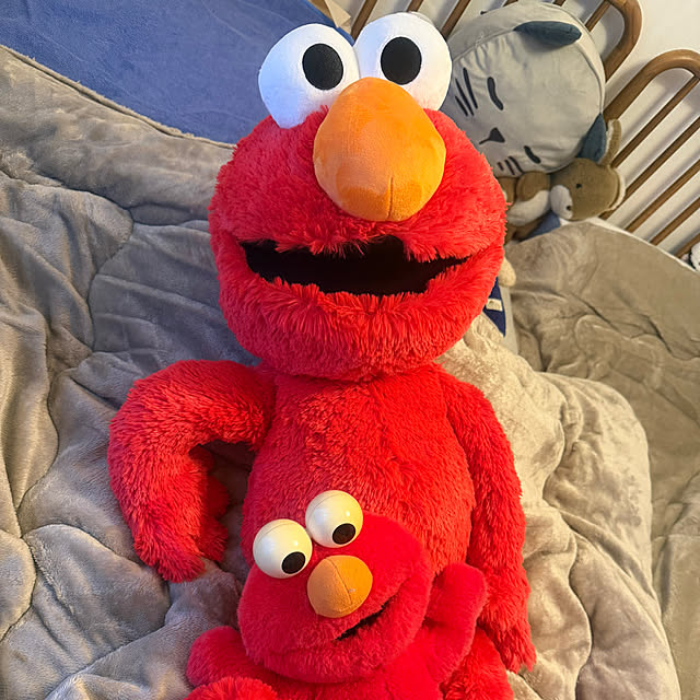 moさんの実例写真