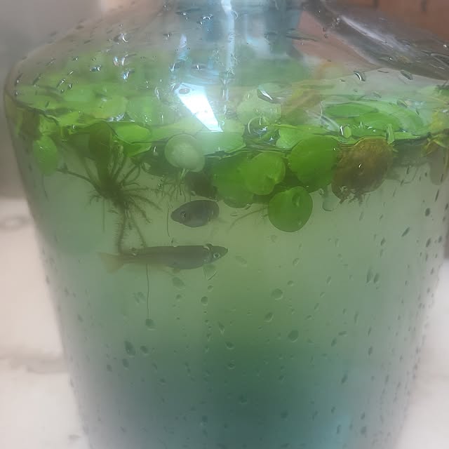 monnさんの部屋