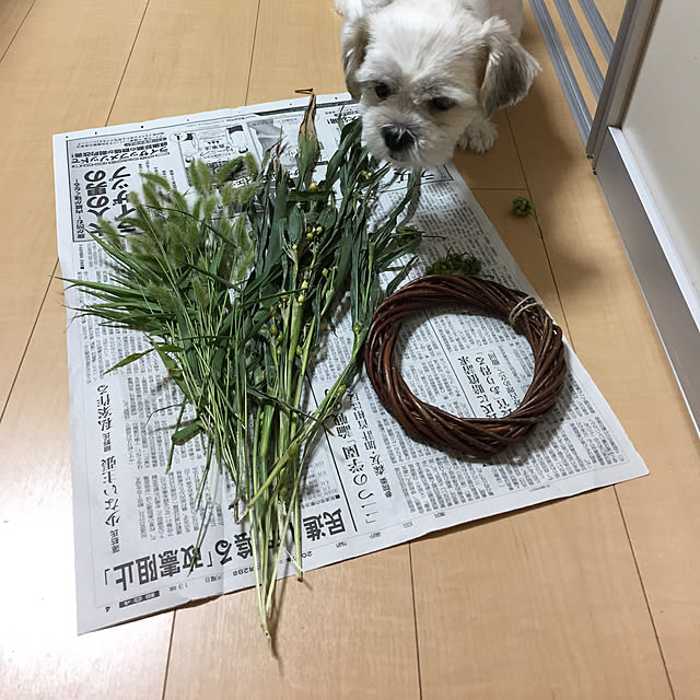 emiさんの実例写真