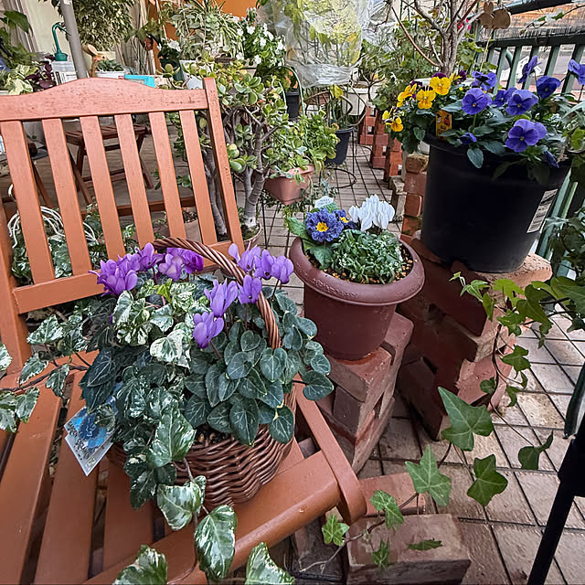 Aqettyさんの部屋