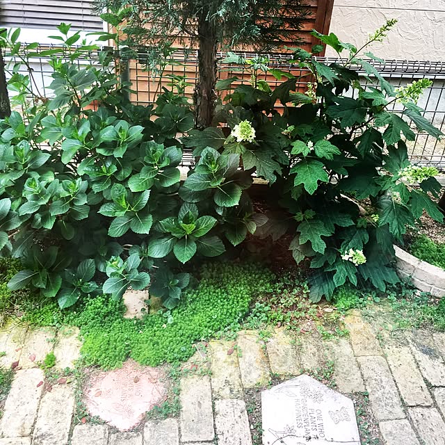kazuさんの実例写真