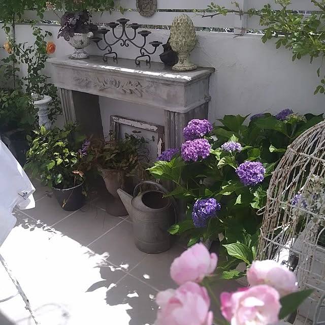 kiyosukeさんの部屋