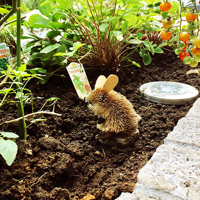 kurumeruさんの実例写真