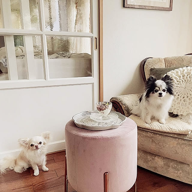 marrococoさんの実例写真
