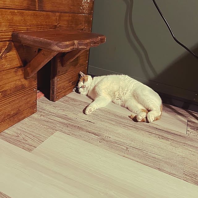 puku.meruさんの部屋