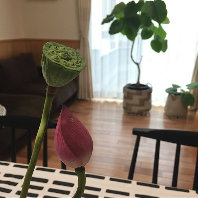 sorasoraさんの実例写真