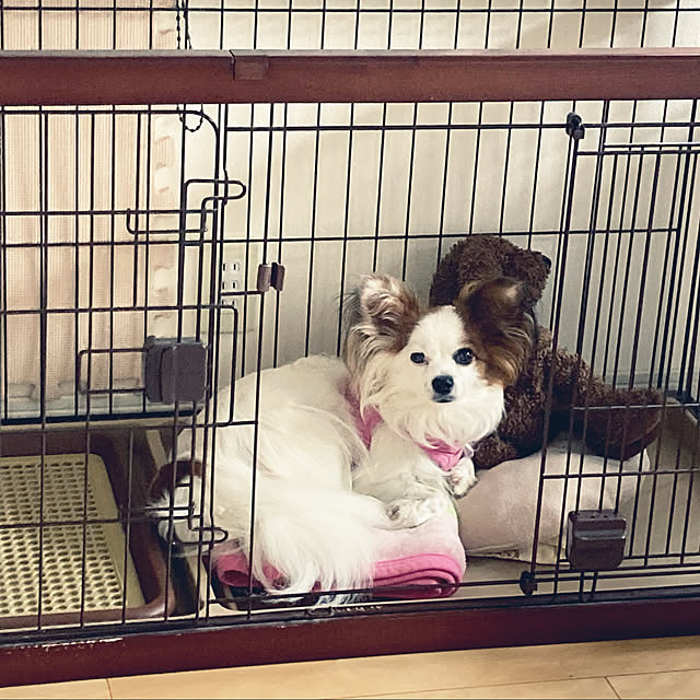 Kさんの実例写真
