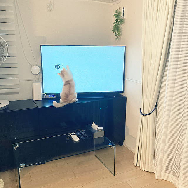 H.Tさんの実例写真