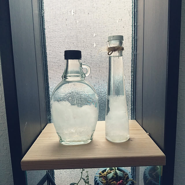 Mikaさんの実例写真