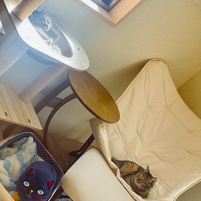 chiiさんの部屋