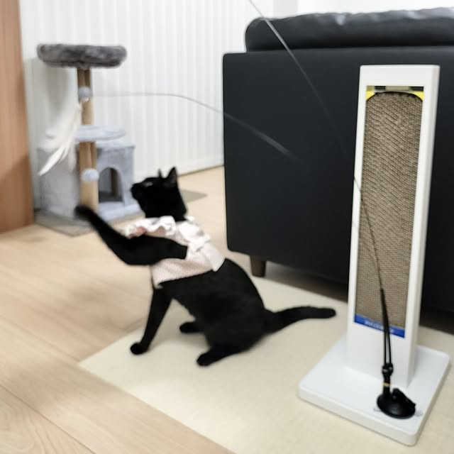 sakuraさんの部屋