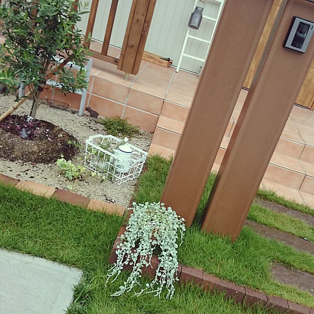 akoさんの実例写真
