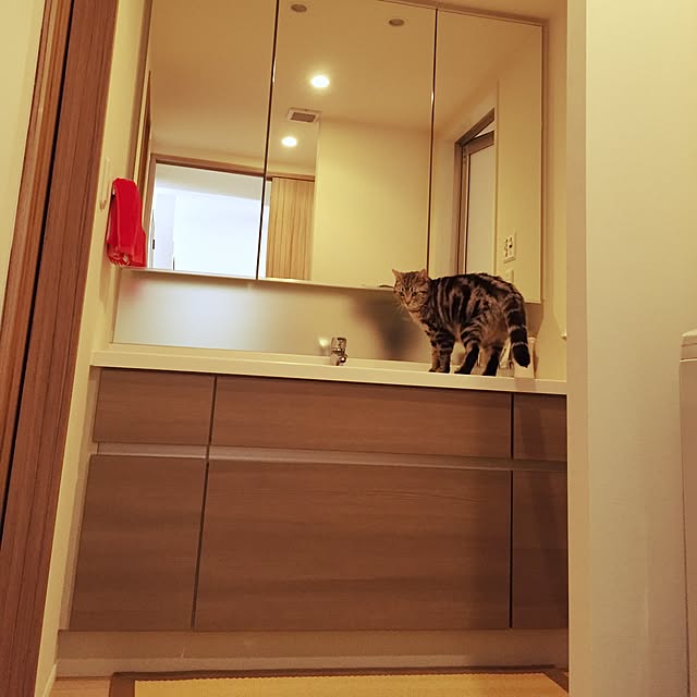 y.k.0123さんの実例写真