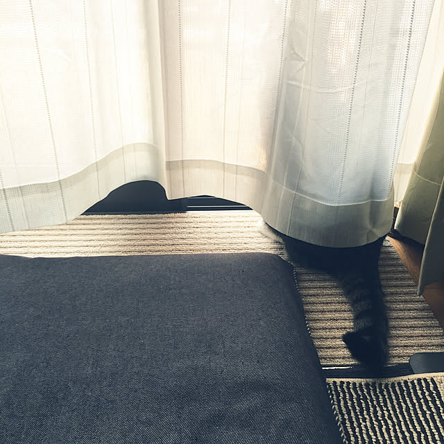 kimikimiさんの実例写真