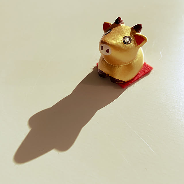 chibirisuさんの実例写真