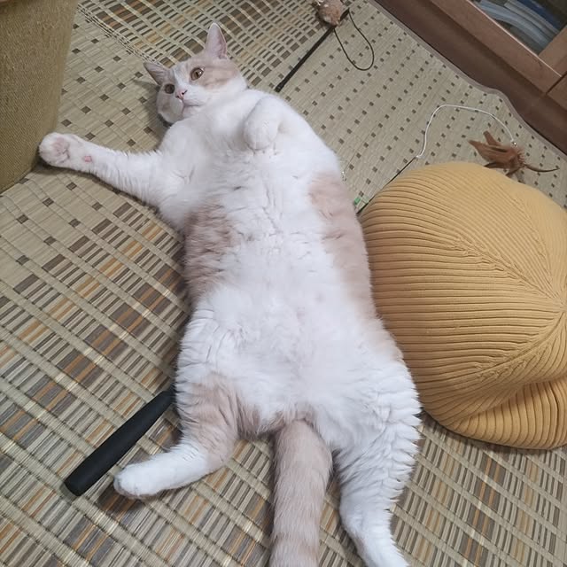 yuuさんの部屋