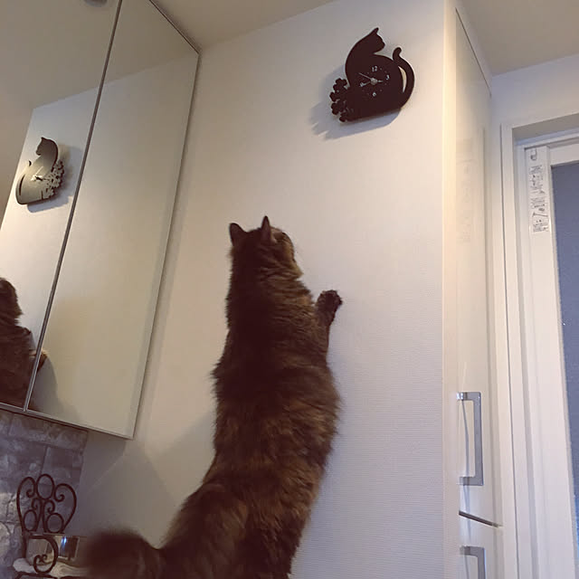 mikomaruさんの実例写真