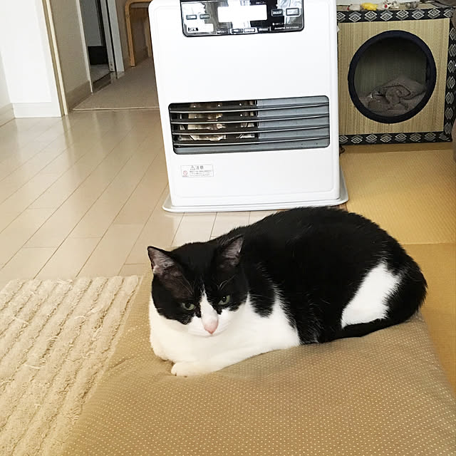 bikkeさんの実例写真