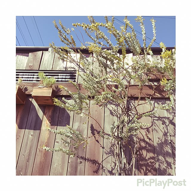 jun.coさんの実例写真