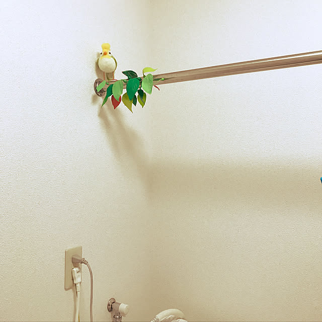amutantanさんの実例写真