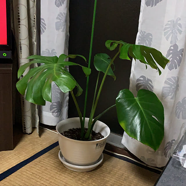 ryoさんの実例写真