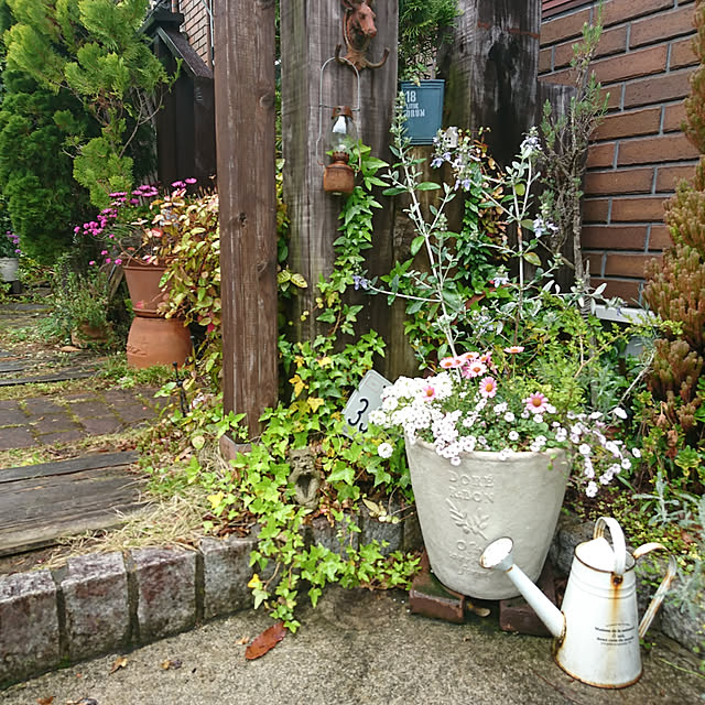 demetanさんの実例写真