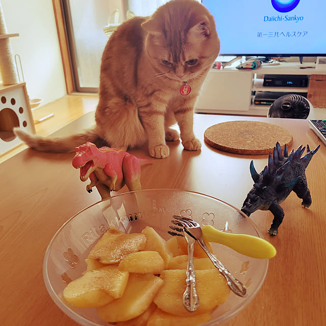 fruityanさんの実例写真