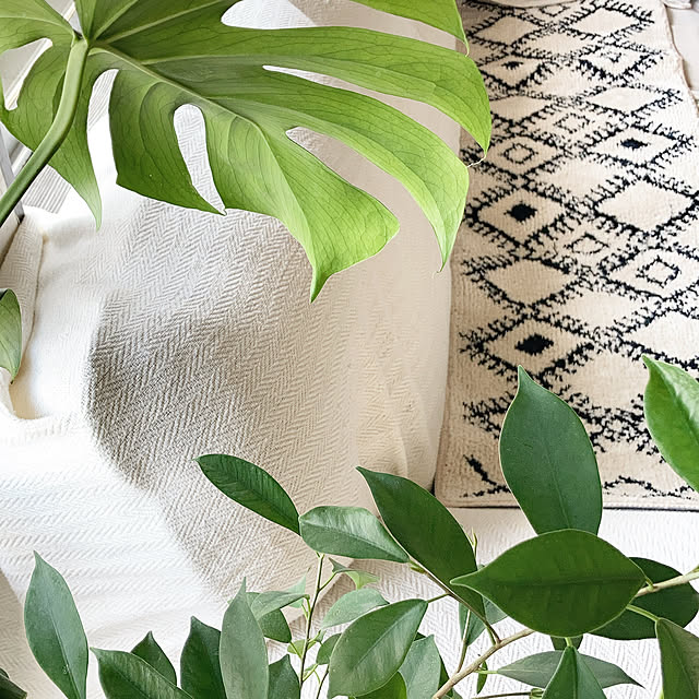 hira_muji_mihiさんの実例写真