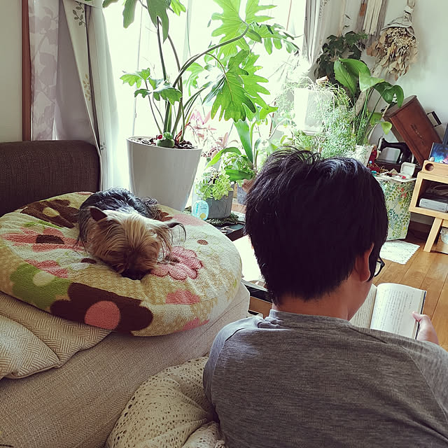 akiさんの実例写真