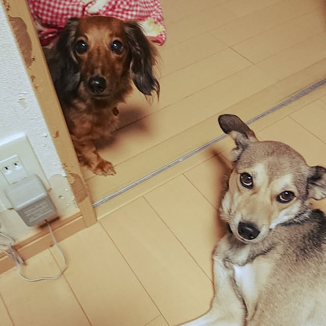 andさんの実例写真