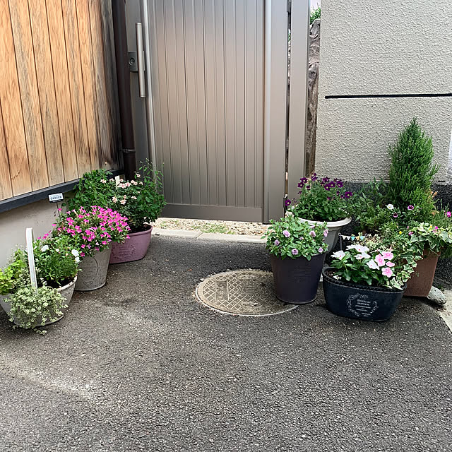 maayaさんの実例写真