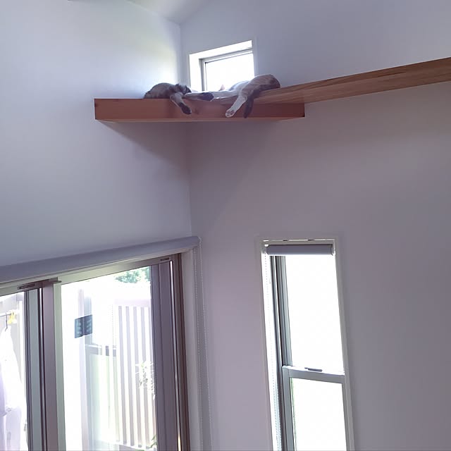 Yoshieさんの実例写真