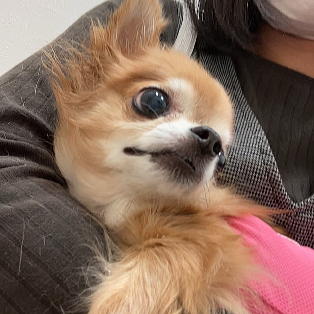 koroさんの部屋