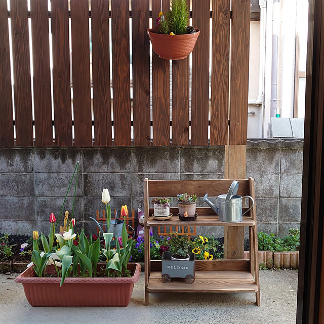 fukuさんの実例写真