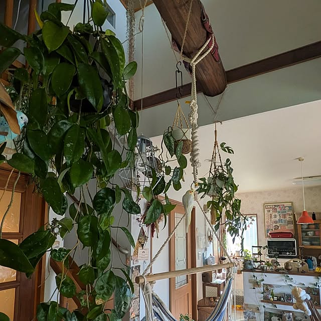 akiさんの部屋