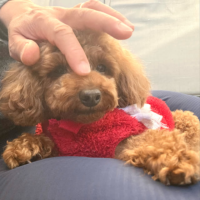 MOMOMAMAさんの実例写真