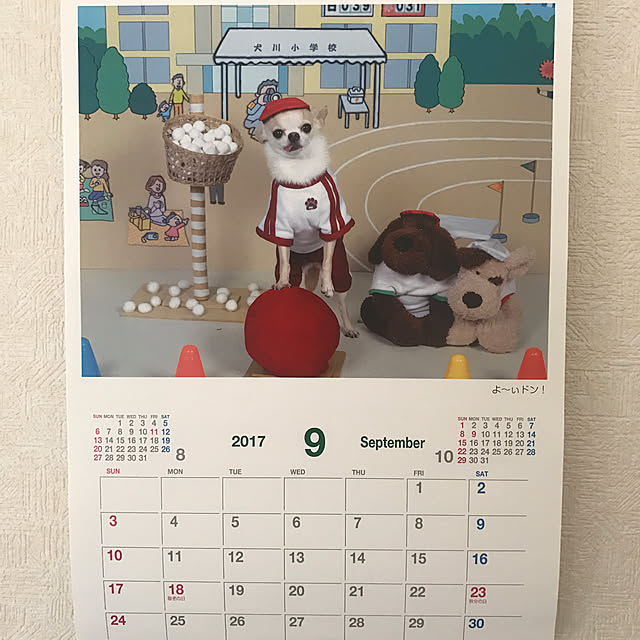 rosemaryさんの実例写真