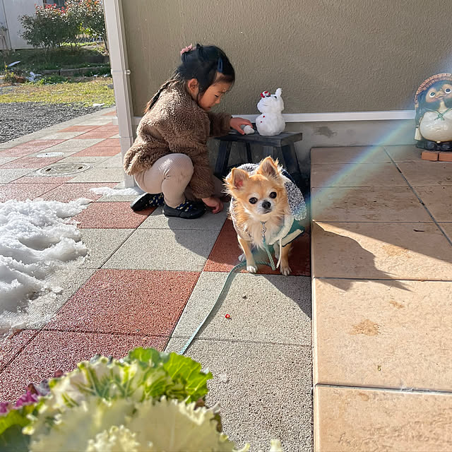 memeさんの実例写真