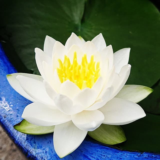 ot-gardenさんの部屋