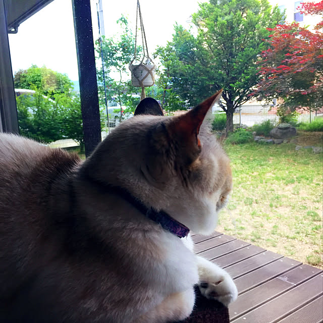 nanaさんの実例写真