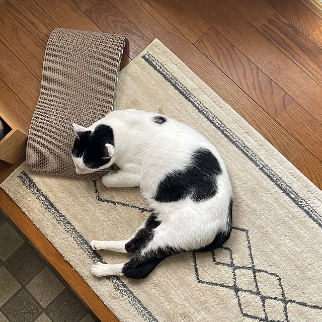 nobikoさんの部屋