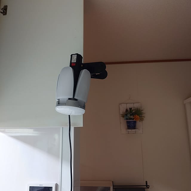 noguriさんの部屋