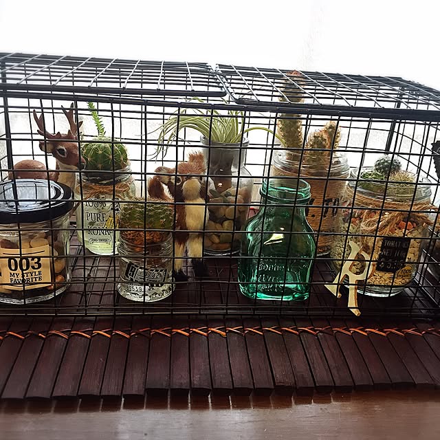 mintさんの実例写真